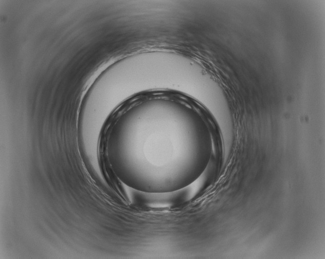 X0000070180052200606021042