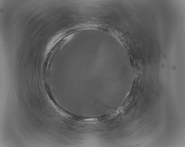 X0000070180053200606021042