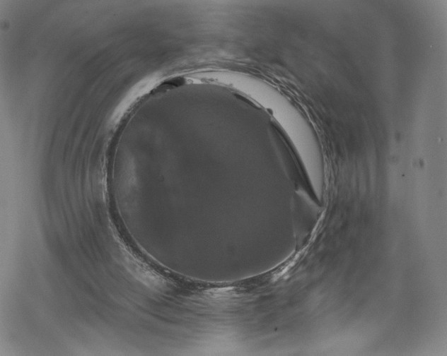 X0000070180054200606021042