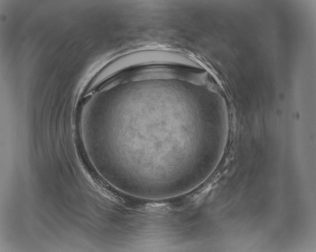 X0000070180055200606021042