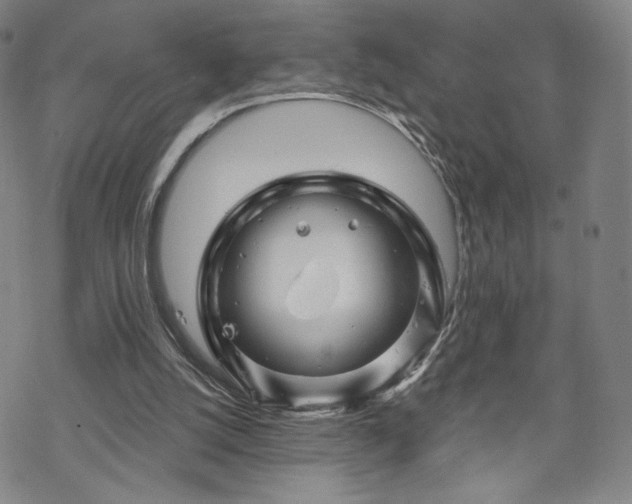 X0000070180056200606021042