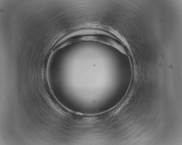 X0000070180057200606021042