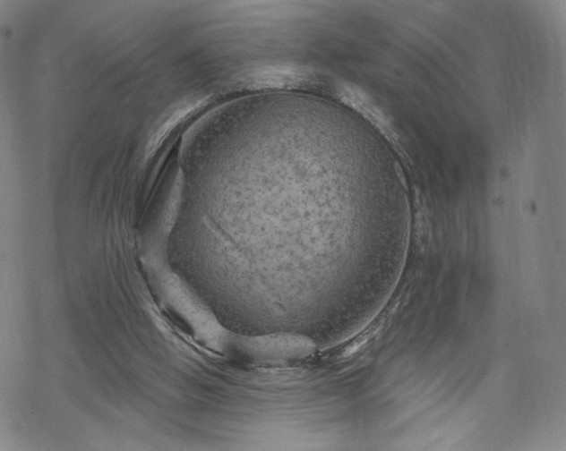 X0000070180058200606021042