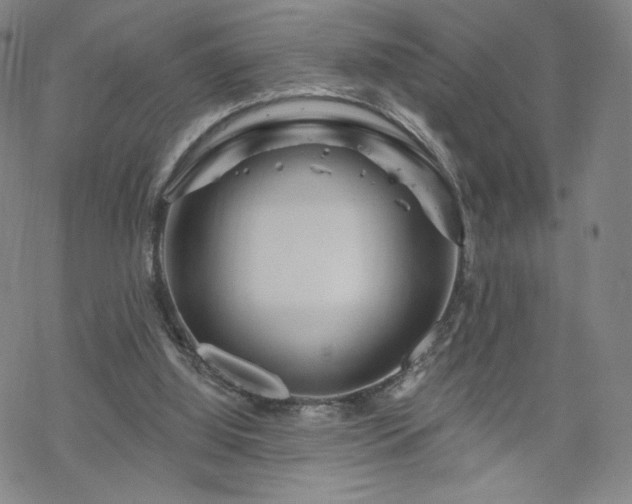 X0000070180060200606021042