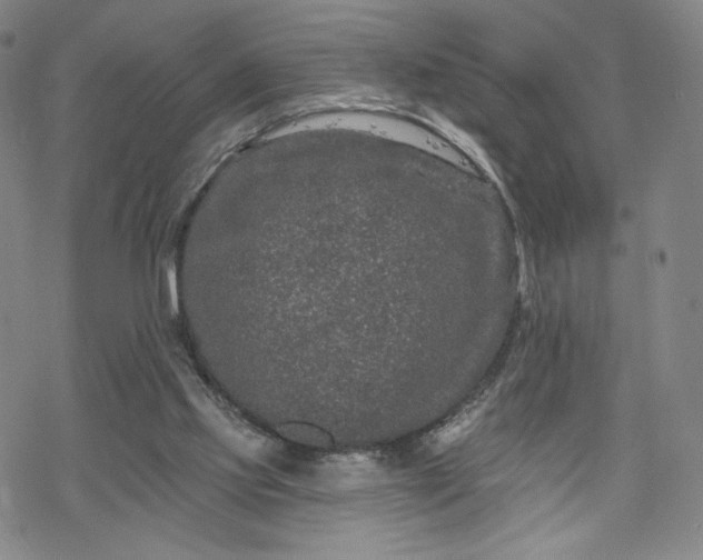 X0000070180061200606021043