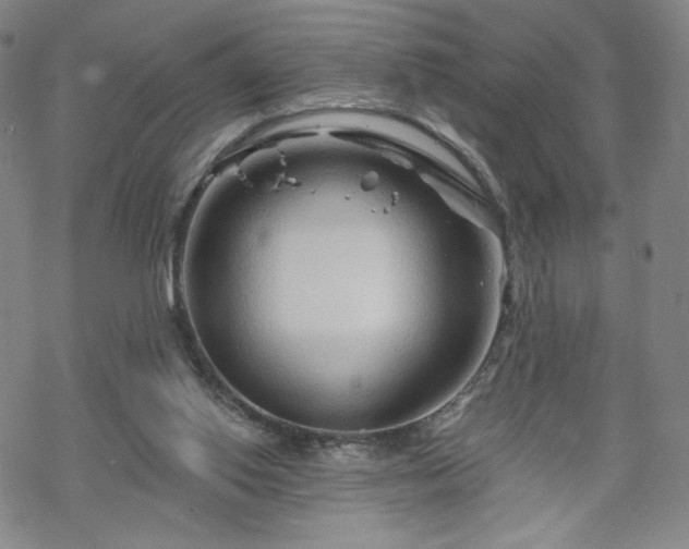 X0000070180062200606021043