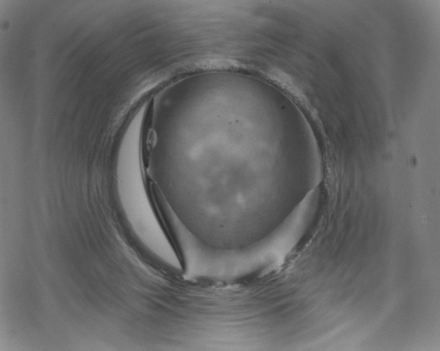 X0000070180063200606021043