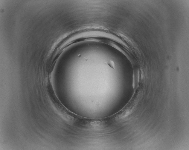 X0000070180064200606021043