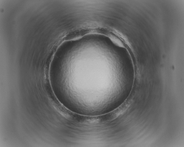 X0000070180065200606021043