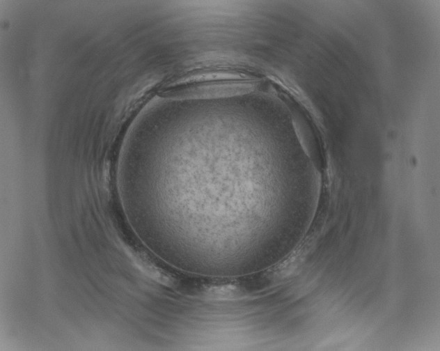 X0000070180066200606021043