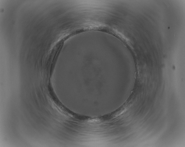 X0000070180067200606021043