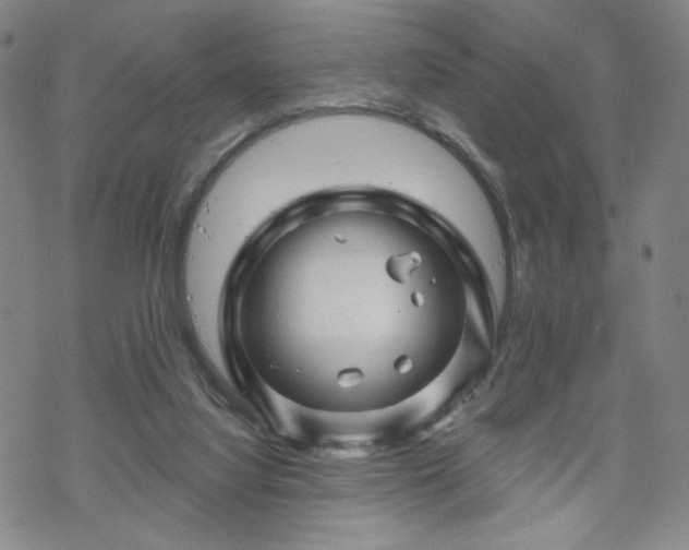 X0000070180068200606021043