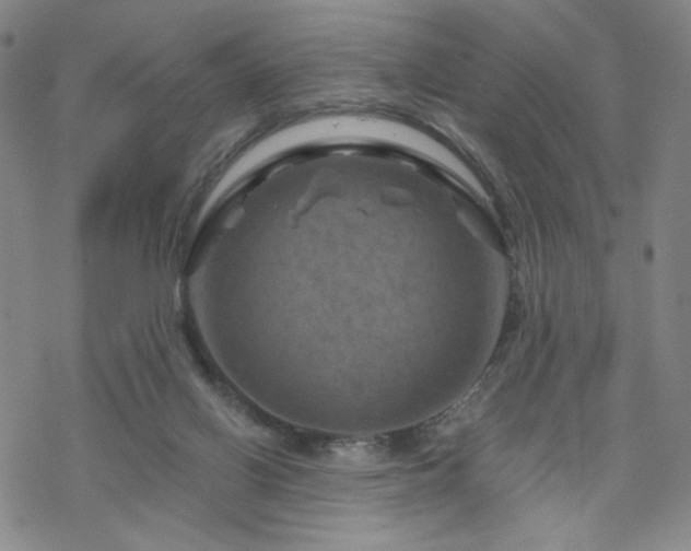 X0000070180070200606021043