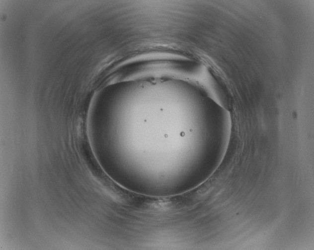 X0000070180071200606021043