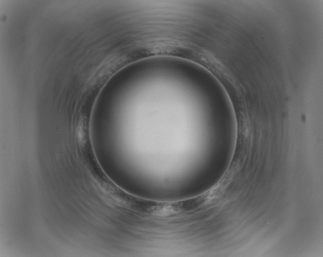 X0000070180074200606021043