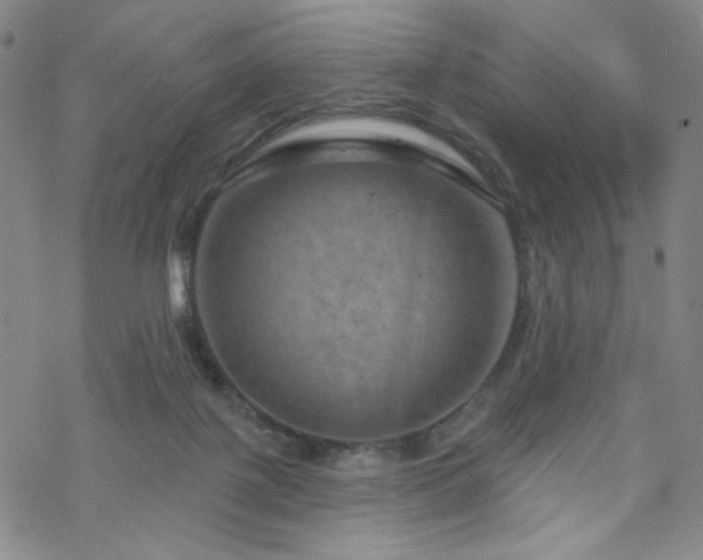 X0000070180075200606021043