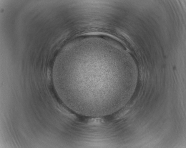 X0000070180077200606021043