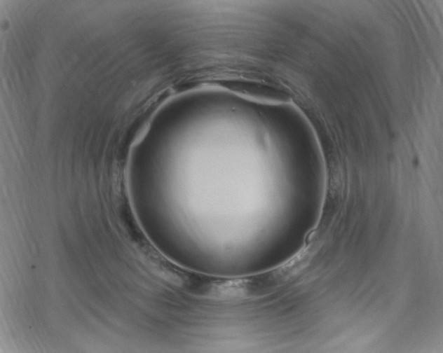 X0000070180078200606021043