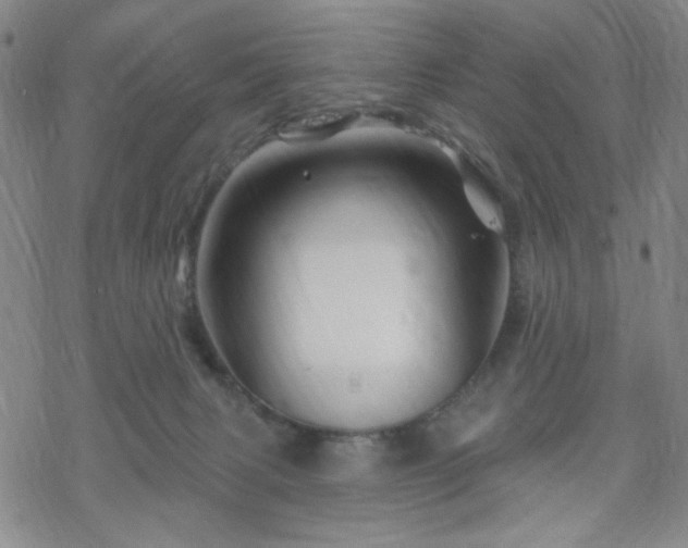 X0000070180079200606021043