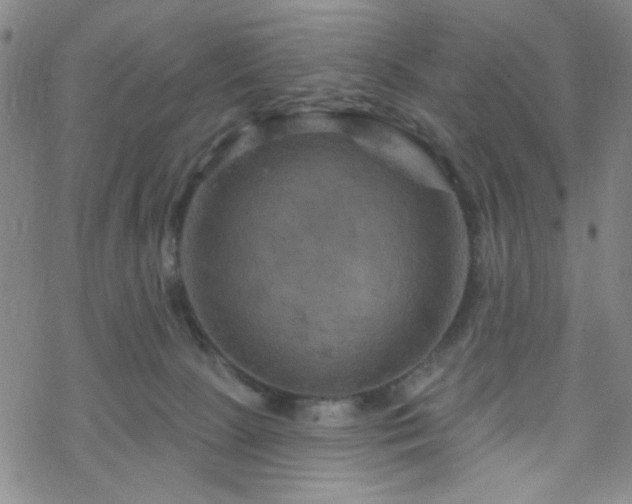 X0000070180081200606021043