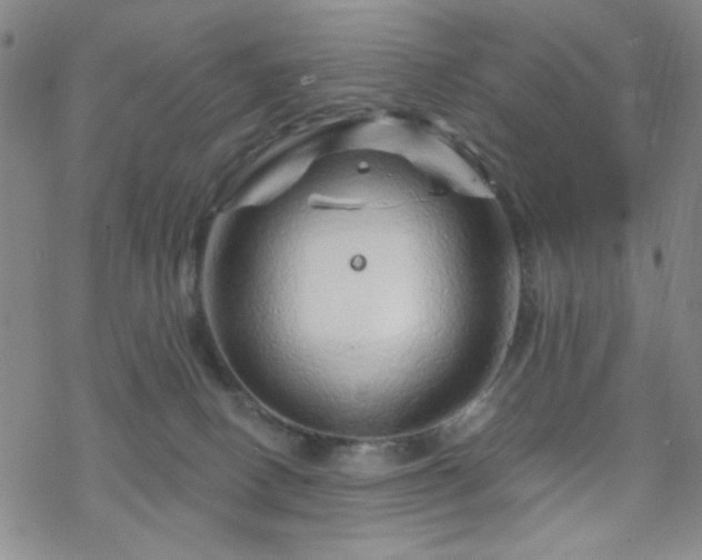 X0000070180082200606021043