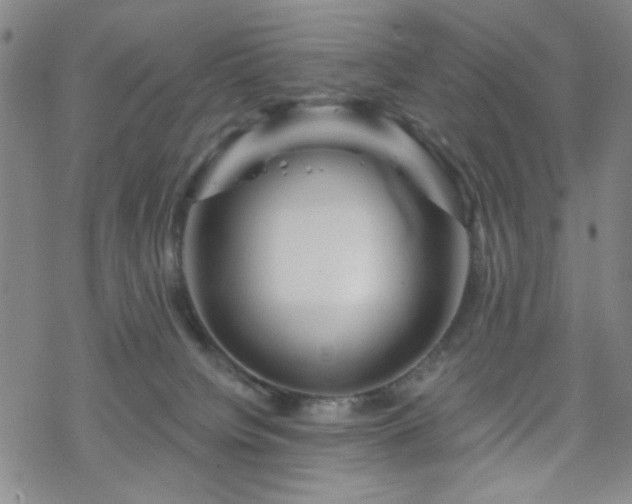 X0000070180084200606021043