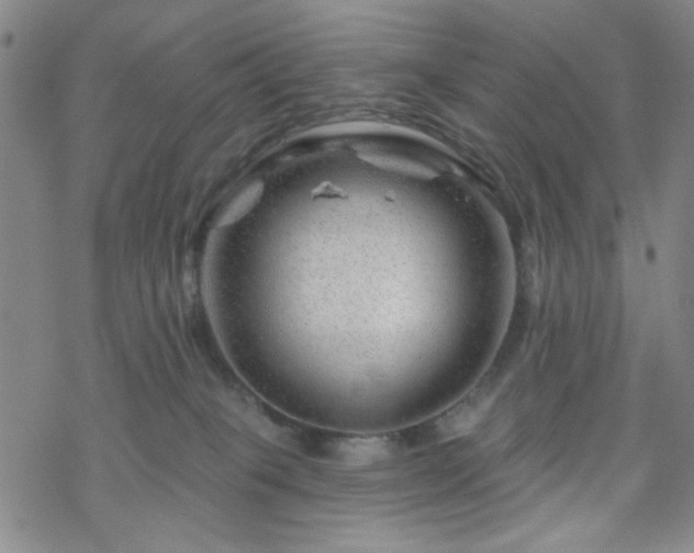 X0000070180085200606021043