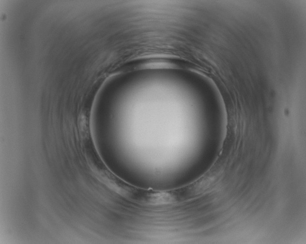 X0000070180087200606021043