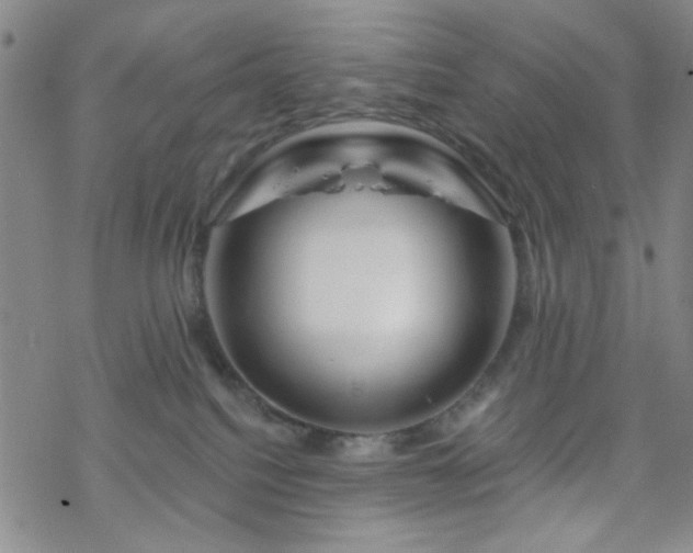 X0000070180088200606021043