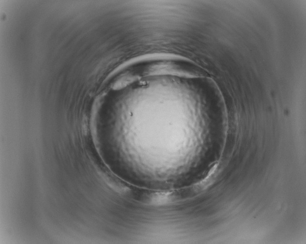 X0000070180090200606021043