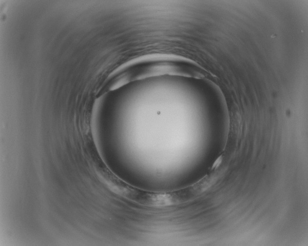 X0000070180091200606021043