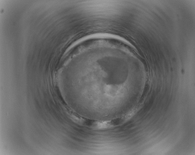 X0000070180093200606021043