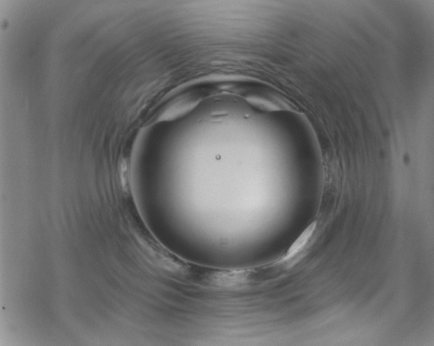 X0000070180094200606021043