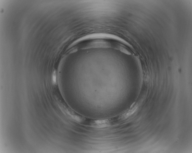 X0000070180095200606021043