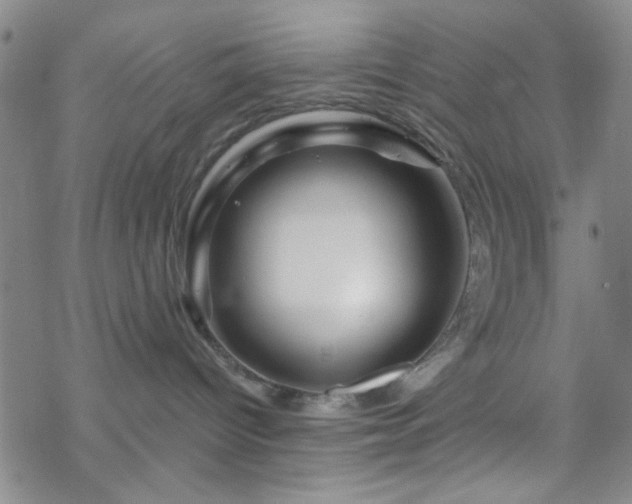 X0000070180096200606021043