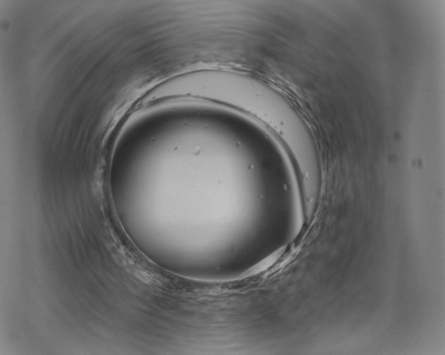 X0000070180098200606021042