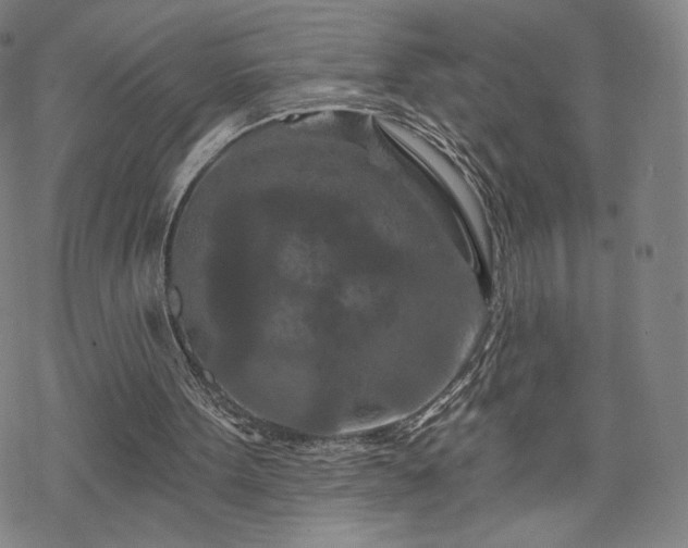 X0000070180099200606021042