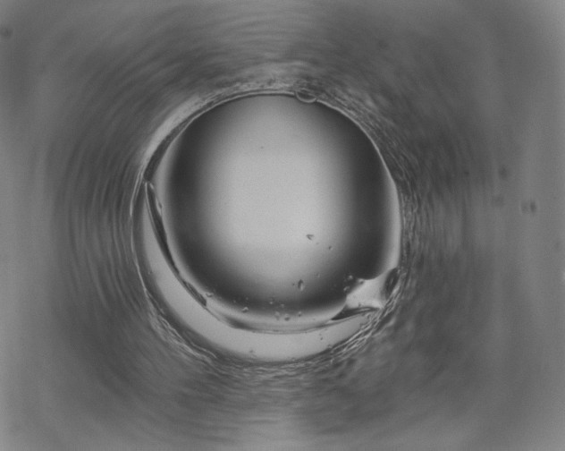 X0000070180100200606021042