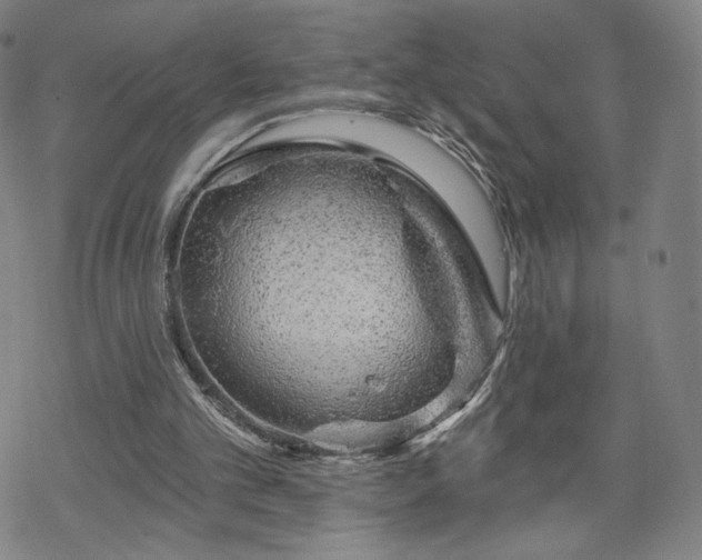 X0000070180101200606021042