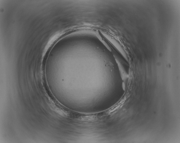 X0000070180102200606021042