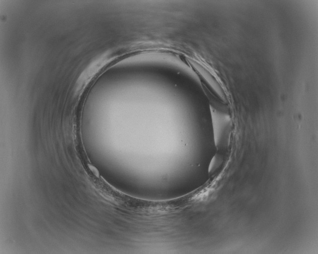 X0000070180103200606021042