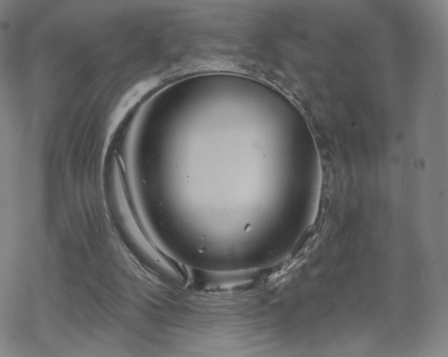 X0000070180104200606021042