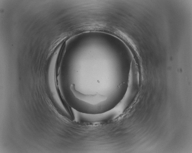 X0000070180105200606021042