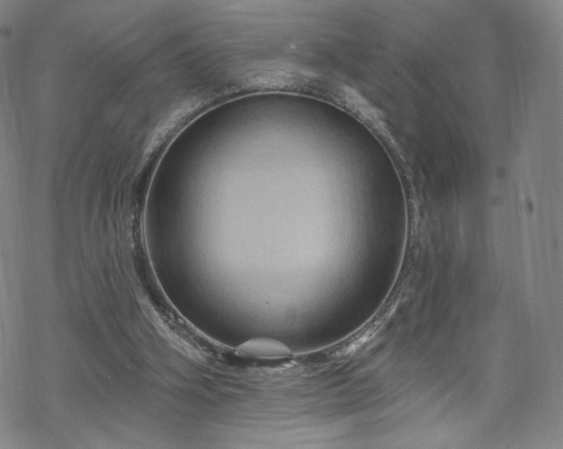 X0000070180106200606021042