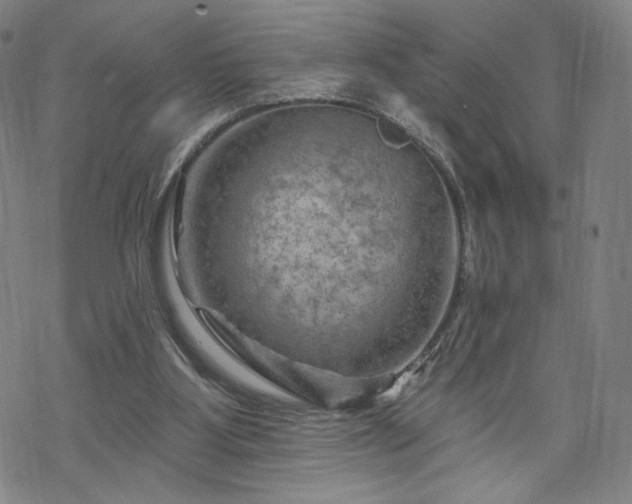 X0000070180107200606021042