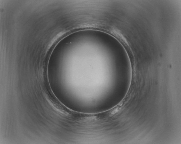 X0000070180108200606021042