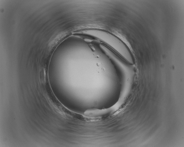 X0000070180109200606021042