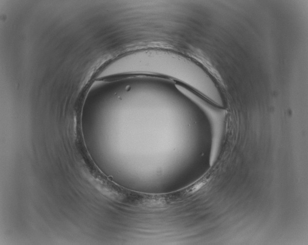 X0000070180110200606021042