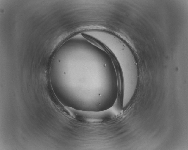 X0000070180111200606021042