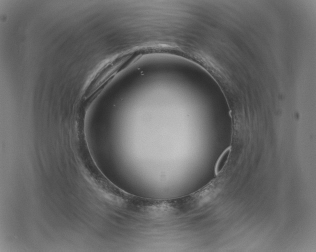 X0000070180112200606021042